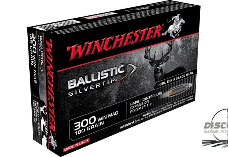 Winchester BALLISTIC SILVERTIP .300 Winchester Magnum 180 grain