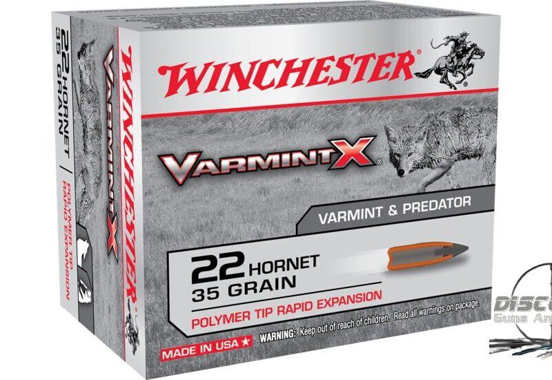 Winchester VARMINT X RIFLE .22 Hornet 35 grain Rapid Expansion Polymer Tip Centerfire Rifle Ammunition X22P