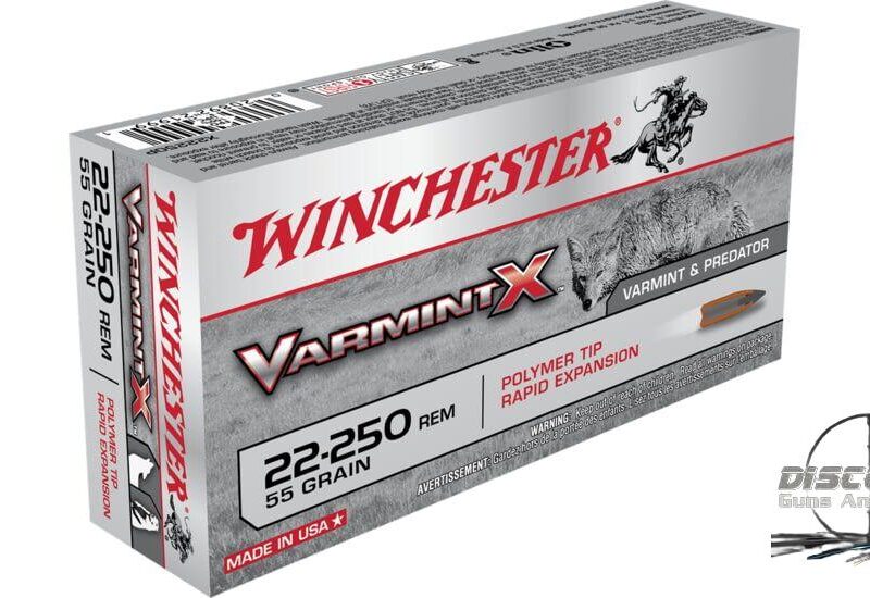 Winchester VARMINT X RIFLE .22-250 Remington 55 grain Rapid Expansion Polymer Tip Centerfire