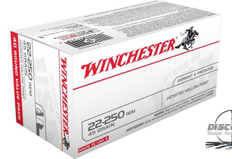 Winchester USA RIFLE .22-250 Remington 45 grain Jacketed Hollow Point Brass