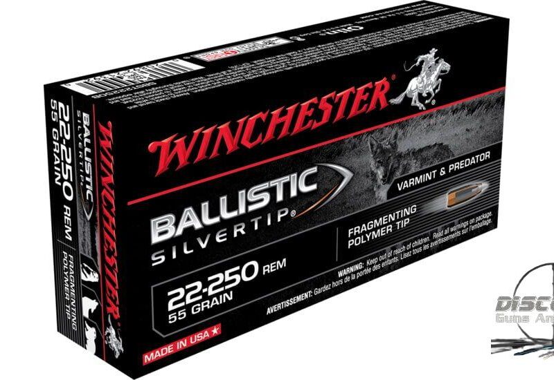 Winchester BALLISTIC SILVERTIP .22-250 Remington 55 grain Fragmenting Polymer Tip Centerfire Rifle Ammunition SBST22250B