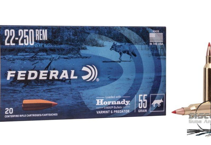 Federal Premium HORNADY V-MAX .22-250 Remington 55 grain Hornady V-Max Centerfire Rifle Ammunition V22250VM2