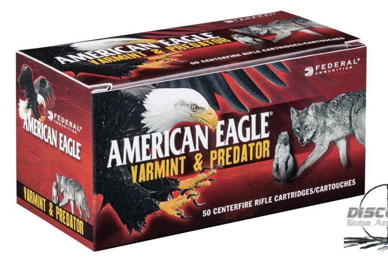 Federal Premium VARMINT / PREDATOR .22 Hornet 35 grain Tipped Varmint, 500 Rounds