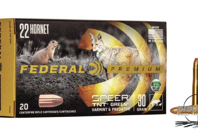 Federal Premium V-SHOK .22 Hornet 30 grain Speer TNT Green Hollow Point, 500 Rounds