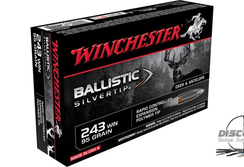 WINCHESTER BALLISTIC-SILVERTIP 95 Grain 500 Rds